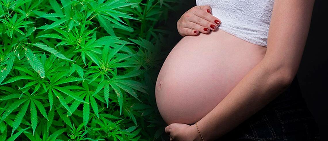 embarazo-marihuana