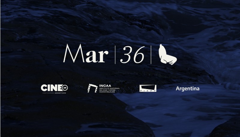 36-festival-internacional-de-cine-de-mar-del-plata-imagen1_9